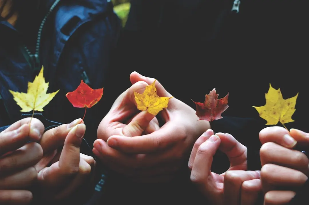 Herbstblätter in Händen als Anregung für Fingerspiele im Herbst